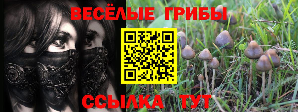 Псилоцибиновые грибы мухоморы  Вход с VPN  Галлюциногенные грибы Psilocybe  Майкоп 